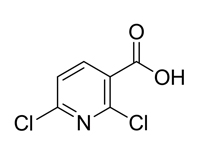 2,6-二<em>氯</em>吡啶-3-羧酸,98%