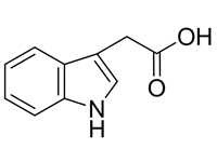 3-吲哚<em>乙酸</em>，CP，97%